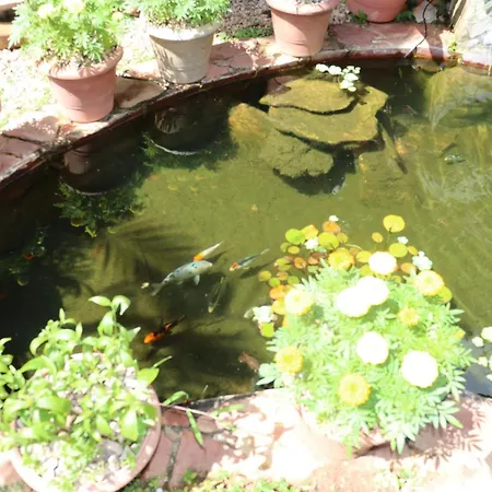 Eco Pousada Jardim do Eden-3